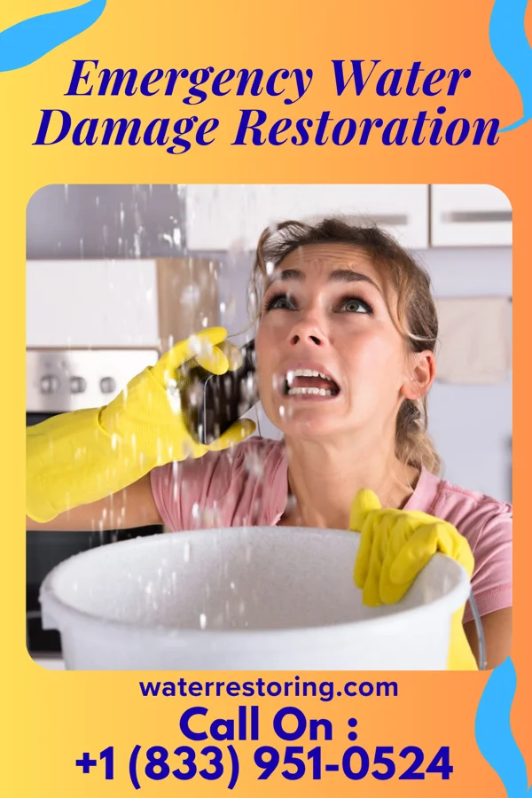 Emergency Water Damage Restoration in Demopolis, AL